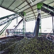 厦门原装进口橄榄油