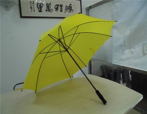 小小黄伞