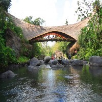 竹木桥