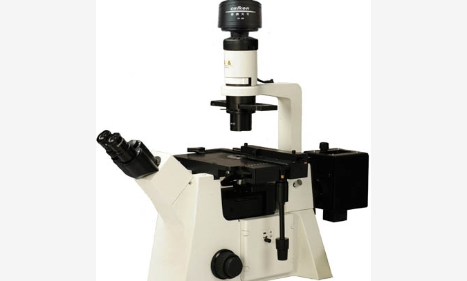 倒置荧光显微镜：DFM-80C
