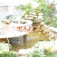 苏州市景观鱼池水处理
