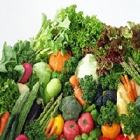 最优惠的绿色蔬菜成都市供应