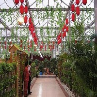 生態(tài)餐廳