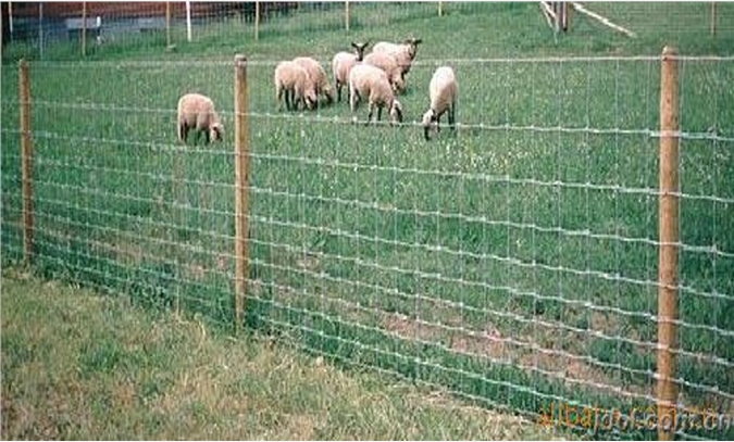 牧场围栏网