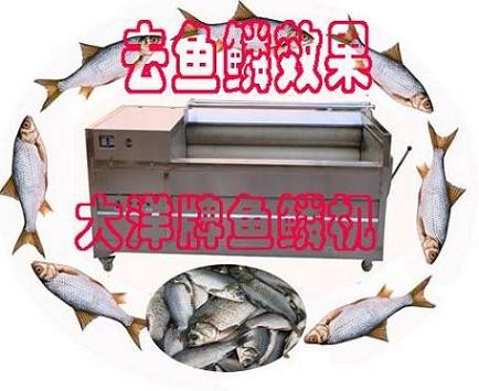 鱼鳞机-鲜鱼剥鳞机-全自动鱼鳞机