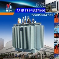 优质的全密封结构10KV变压器出售图1
