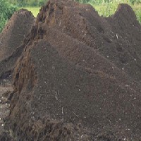 泥炭土对植物的作用