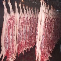 生态猪肉｜生态猪肉批发｜生态猪肉厂家