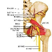 洛阳颈肩腰腿疼专科|省工疗疼痛科|专业治疗颈肩腰腿疼