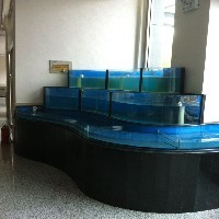 济南专业的海鲜池加工厂家 欢迎海鲜池定制