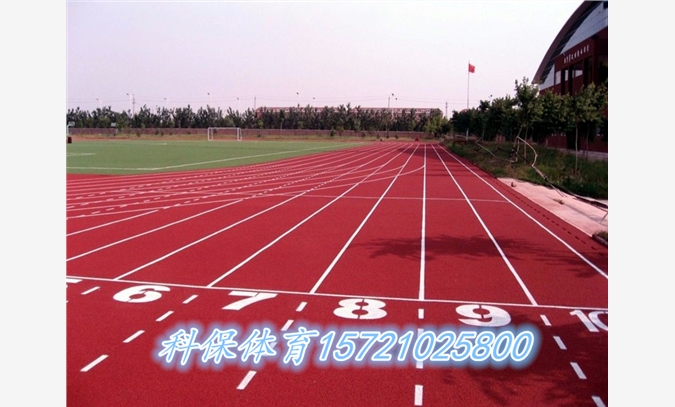 上海塑胶地坪|网球场围网施工报价图1