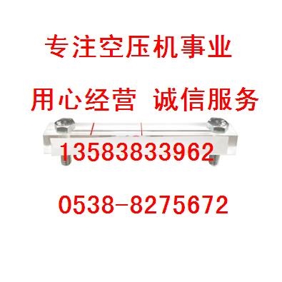 30899578登福GD油位计图1