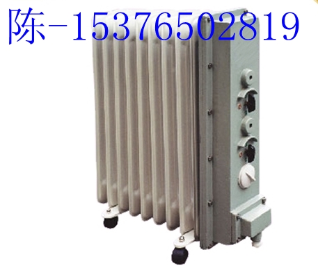 RB2000/127A电热取暖器