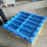 （推荐）威海塑料托盘吸塑加工最专业的厂家【图】图1