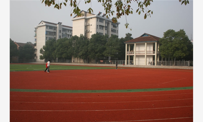 龙泉塑胶跑道价格图1