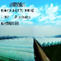 溫室大棚