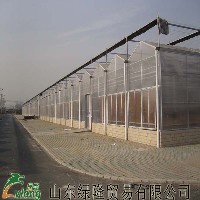 智能育苗温室建设，专业建造蔬菜温室大棚图1