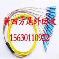 沧州【新四方】尾纤回收公司回收光纤跳线 回收束状尾纤