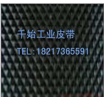 pvc输送带图1