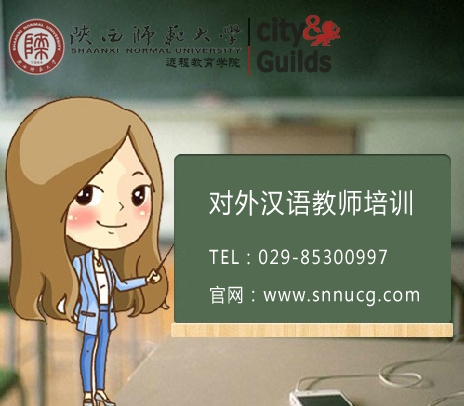 2014年对外汉语教师资格培训