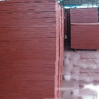 胶合板价格——海南建筑模板