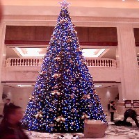 苏州圣诞树搭建圣诞布景装饰