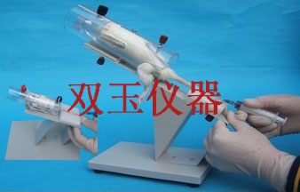 大鼠尾注固定架