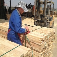 威县建筑木材加工厂家