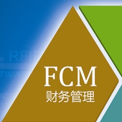 FCM财务管理系统财务管理软件
