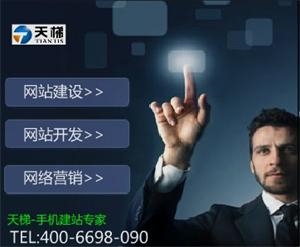 天梯手机网站建设代理加盟招商中