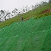 性能好广西草坪植被网 三维植被网价格