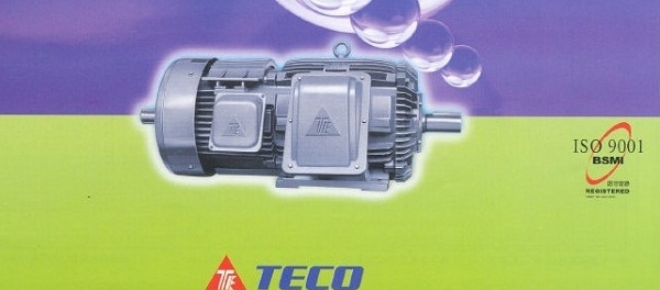 台湾东元（TECO）马达