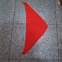 藁城鑫旺宫灯，做石家庄市规模最大的红领巾企业