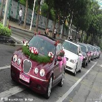 西安南郊婚庆租车哪家车型多？