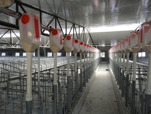 猪厂自动料线