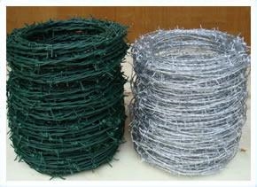 优质刺绳|刺线|铁丝图1