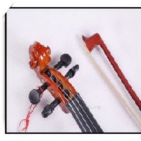 红棉小提琴