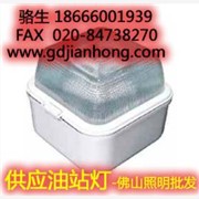 建宏供应佛山照明油站灯系列产品，图1