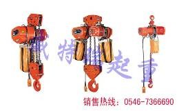 大象牌电动葫芦|日本环链电动葫芦图1