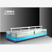 单岛柜，双岛柜，卧式冷冻柜，A型