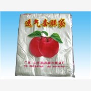 苹果套袋|供应优质梨套袋|烟台葡