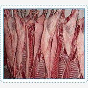 猪白条|猪皮条|猪分割产品|猪肉图1