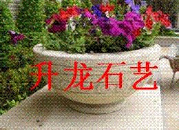 山东省供应石花盆,各种石头盆景大图1