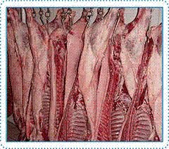 猪白条|潍坊猪红条|猪皮条|猪肉