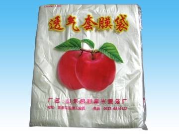 供应苹果套袋|优质苹果套袋|烟台图1