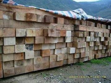 供应建筑木方，山东省最大木材加工图1