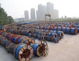 广州市海珠区提供地毯清洗找广州市