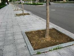 高家五莲红树空石|10*25五莲图1