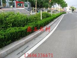 鑫玉路缘石|五莲花路缘石|五莲红图1