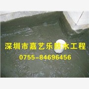 深圳市东湖防水补漏工程,深圳市东图1